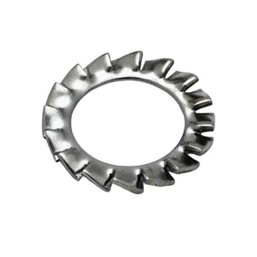 Spring Washer