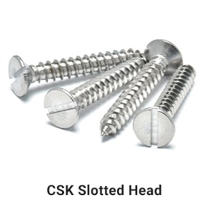 CSK Slotted Head