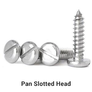 Pan Slotted Head