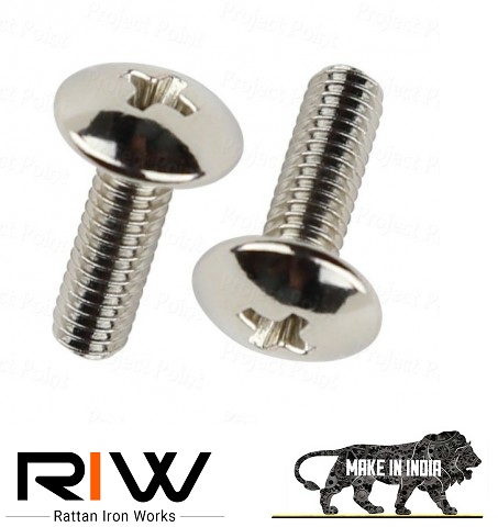 Nikle Plated Screws Manufacturers In Delhi